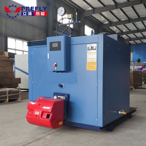 立浦熱能500kg燃氣蒸汽發(fā)生器 高效熱能設備助力工業(yè)清洗